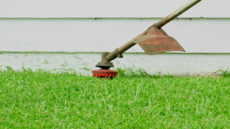 Best Lawn Mowing  in Ottawa, IL